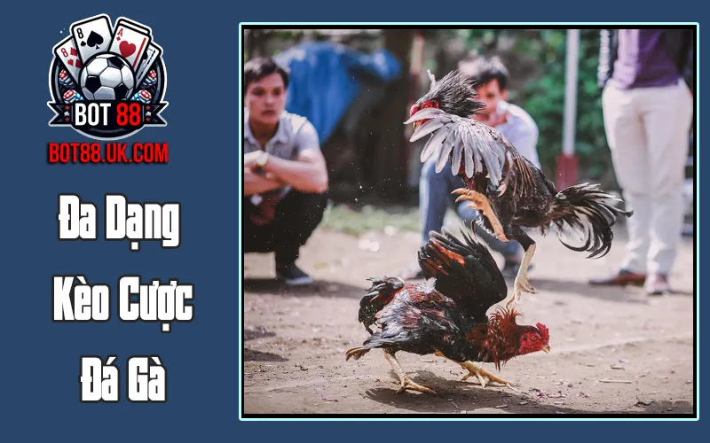 Đa Dạng Kèo Cược Đá Gà
