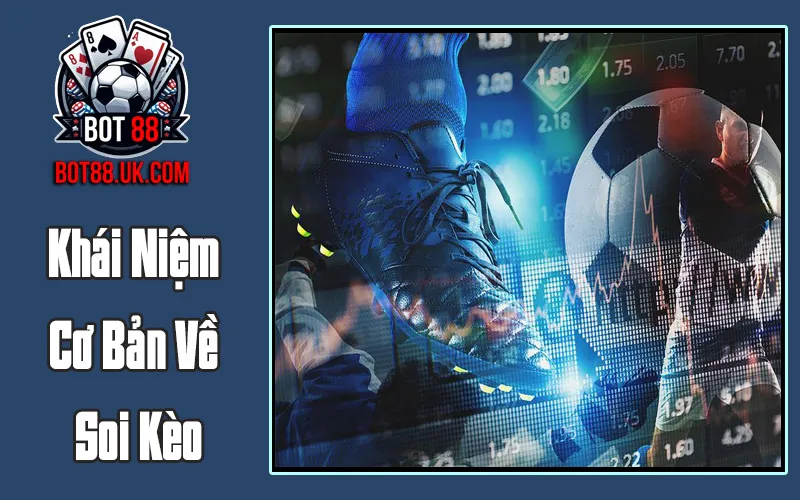 Khái Niệm Cơ Bản Về Soi Kèo