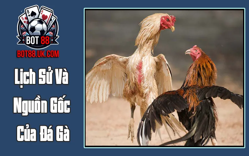 Lịch Sử Và Nguồn Gốc Của Đá Gà
