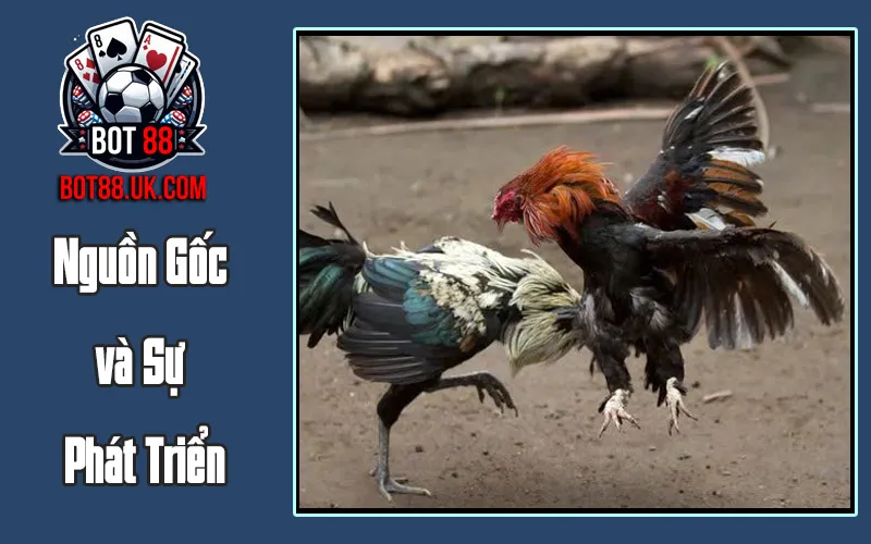 Nguồn Gốc và Sự Phát Triển