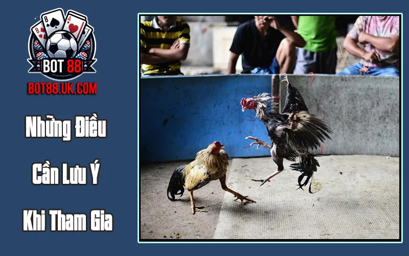 Những Điều Cần Lưu Ý Khi Tham Gia Những Điều Cần Lưu Ý Khi Tham Gia