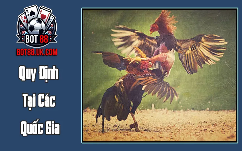 Quy Định Tại Các Quốc Gia