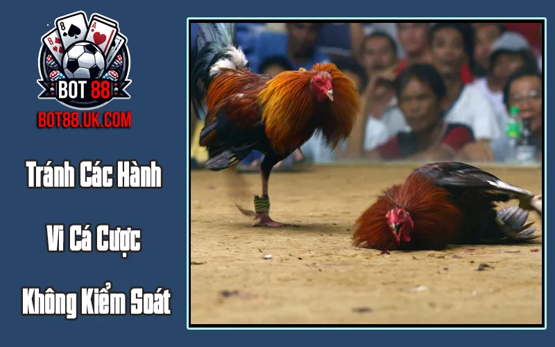 Tránh Các Hành Vi Cá Cược Không Kiểm Soát